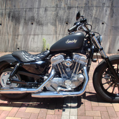 #25 SPORTSTER883 サムネール写真