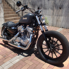 #25 SPORTSTER883 サムネール写真