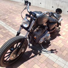 #25 SPORTSTER883 サムネール写真