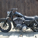 SPORTSTER XL1200 OWNER:HIDE